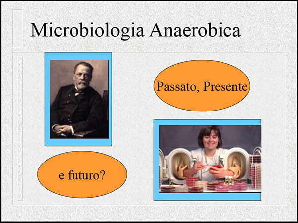 microbiologia-anaerobica-P