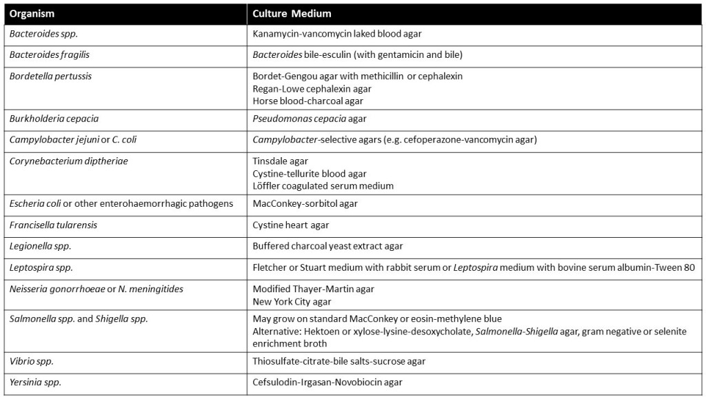 culture-table2